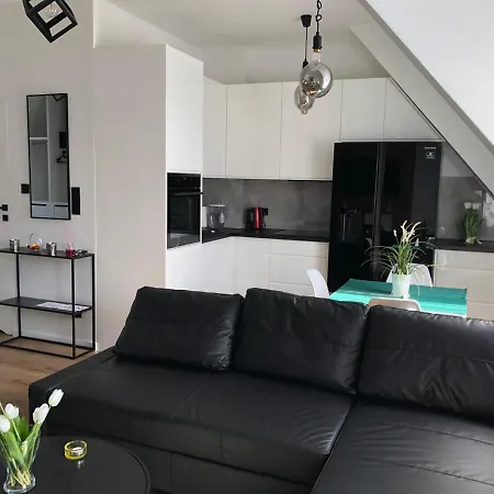 Zielone Fotele Starowka オルシュティン