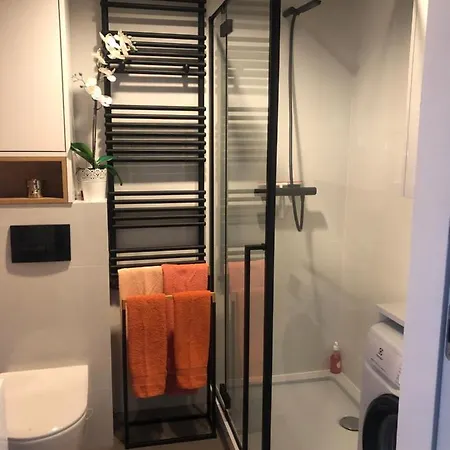 Apartment Zielone Fotele Starowka *