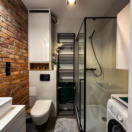 アパート Zielone Fotele Starowka オルシュティン